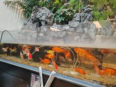-舟小鲜·舟山小渔村(凤城四路中登广场店)