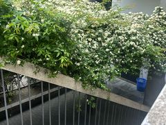 -四川大学(望江校区)