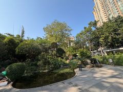 -晓港公园