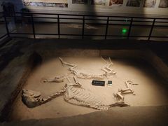 -洛阳周王城天子驾六博物馆