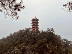 -缙云山景区