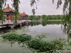 -长春市南湖公园