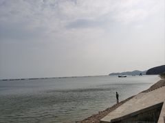 -大连林阳酒店