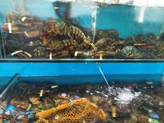 -港畔赶海蒸汽海鲜烧烤自助(仙螺岛店)
