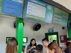 -圣淘沙天际线斜坡滑车