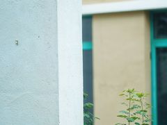 -广州市紫泥堂文化创意园景区