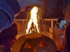 -前小桔亲子创意农场·草莓采摘·露营烧烤