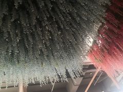 -乐汤汇温泉生活馆