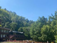 -野象谷景区