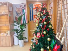 -猫十亿·布偶金渐层·曼基康矮脚猫舍(青年路店)