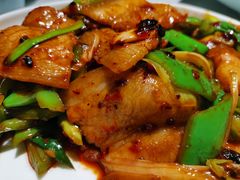 -雲蜀龙阁·金牌水煮鱼(方庄店)