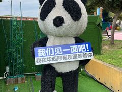 -华西村