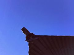 -径山寺