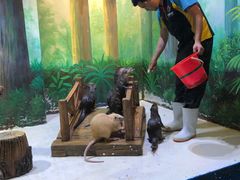 -华夏文旅海洋公园