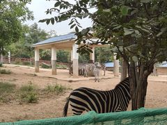 -石家庄市动物园