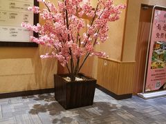 -大江户·温泉洗浴(浑南店)