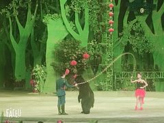 -灵玲国际马戏城