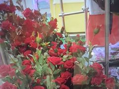 -水善汇旗舰店(金牛路店)