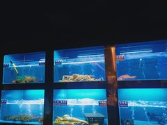 水产区-金时代顺风大酒店(临港百联店)
