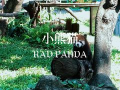 -广州动物园