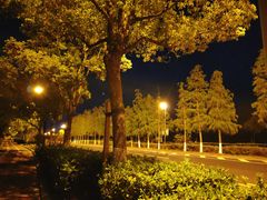 -上海海事大学(临港校区)