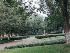 -龙头寺公园