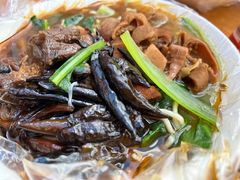 -老窦肥肠板面