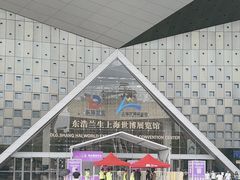 -东浩兰生上海世博展览馆
