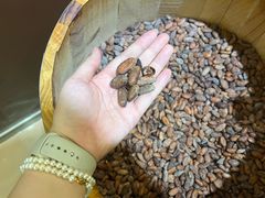 -歌斐颂巧克力小镇