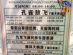 -西双版纳原始森林公园