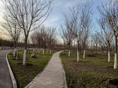 -天津东丽湖风景区