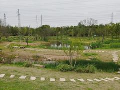 -上海长兴岛郊野公园