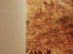 -手功王养生·足疗按摩·SPA·采耳(天府路店)