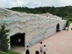 -广东惠东海龟国家级自然保护区