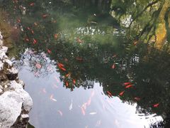 -复旦大学附属华山医院(总院)