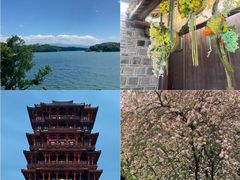 -千年银杏谷文化旅游区