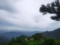 -牛背梁国家森林公园