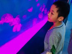 -南京金牛湖风景区