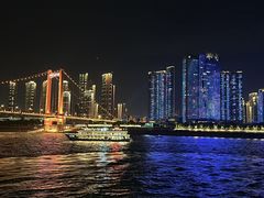 -武汉两江游览·夜游长江(汉口粤汉码头)