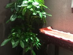 -鼎泰丰(渔阳店)