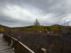 -莫尔道嘎国家森林公园