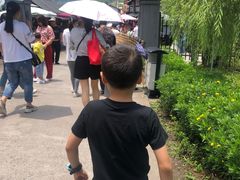 -美心红酒小镇游乐园