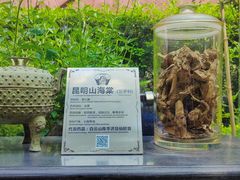 -广州神农草堂中医药博物馆