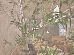 -绿茶餐厅(青岛城阳万象汇店)