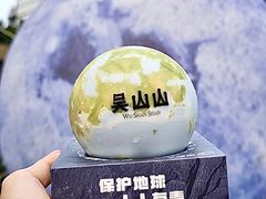 -吴山山·椰子酸奶(天河南店)