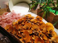 -星伦多自助料理(新湖店)