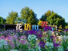 -江西龙虎山景区