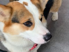 -阿尔法海鲜排档(爱琴海店)