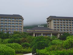 -舟山朱家尖绿城威斯汀度假酒店