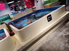 水产区-日进一片海.生腌海鲜火锅.宵夜烧烤(三里屯总店)